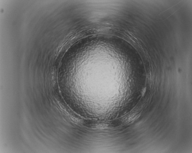 X0000053100462200508012103
