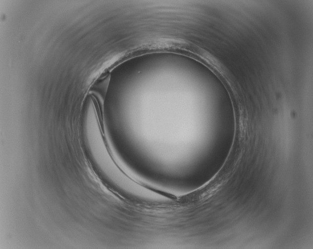 X0000053100485200508012102