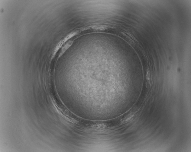 X0000053100492200508012102