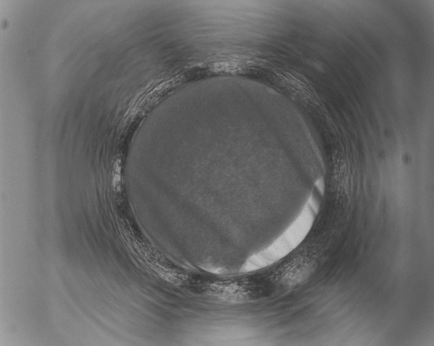 X0000053100502200508012102