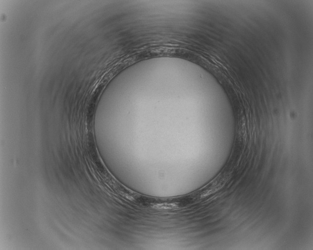X0000053100508200508012102