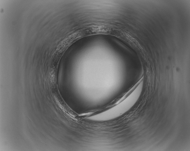 X0000053100513200508012102