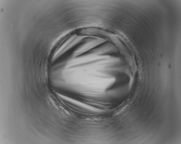 X0000053100532200508012101