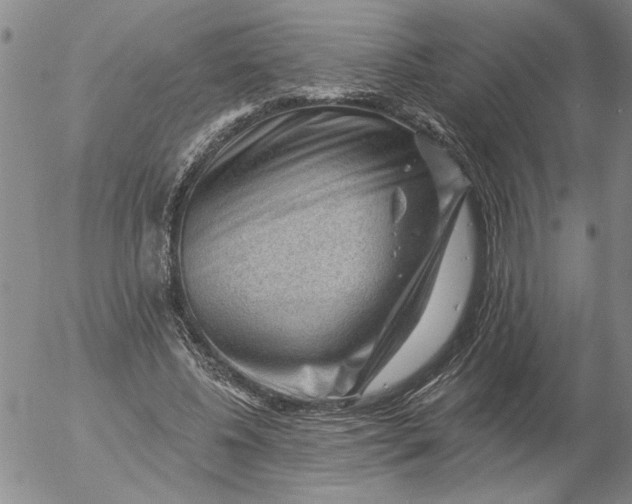 X0000053100540200508012101
