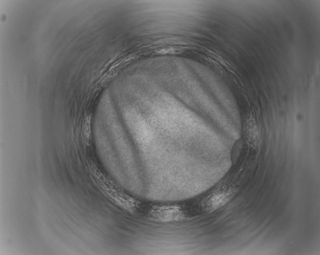 X0000053100554200508012101