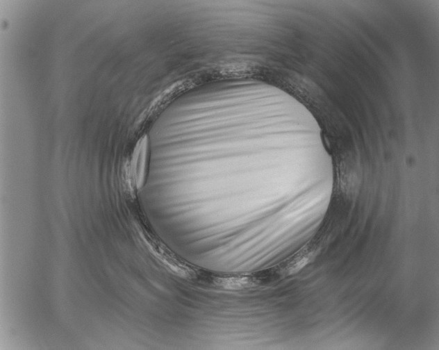 X0000053100575200508012102