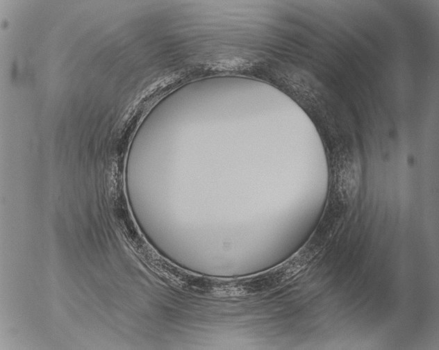 X0000053100591200508012101