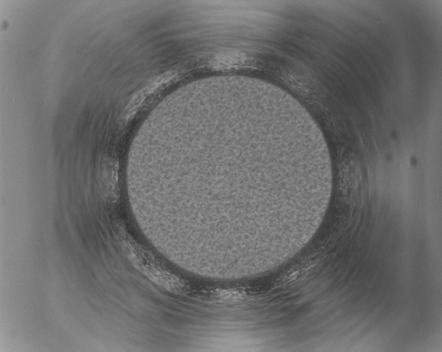 X0000053100592200508012101