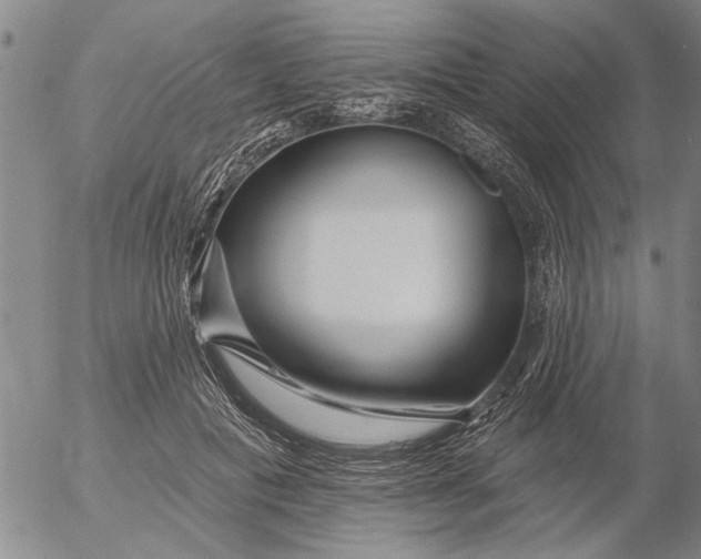X0000053100601200508012100