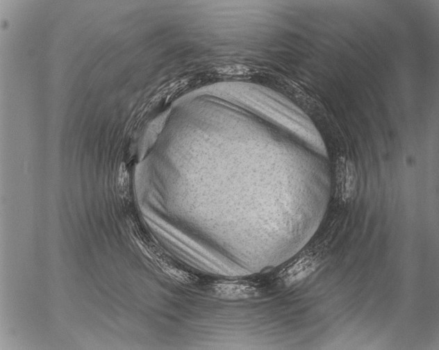 X0000053100614200508012100