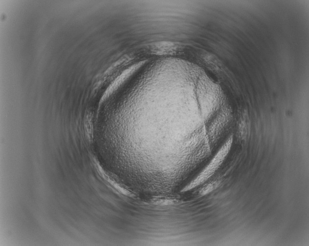 X0000053100620200508012100
