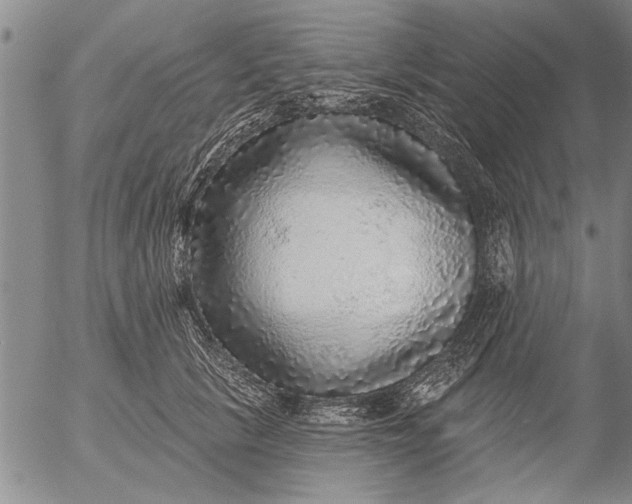 X0000053100657200508012100