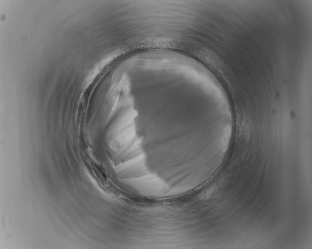 X0000053100674200508012059