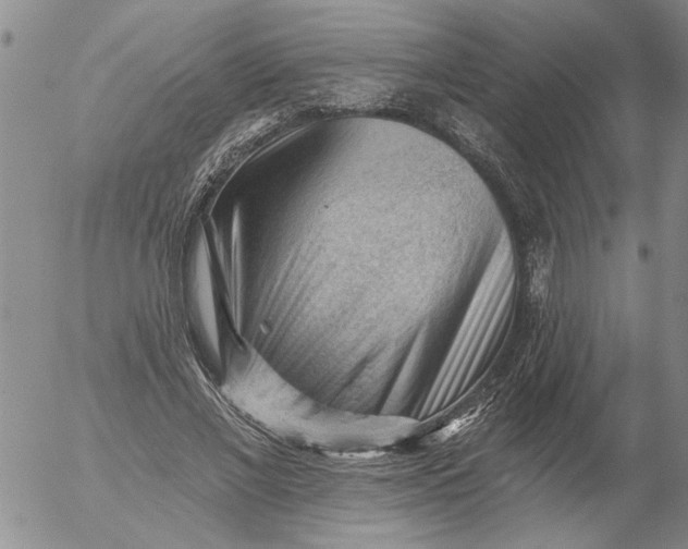 X0000053100685200508012059