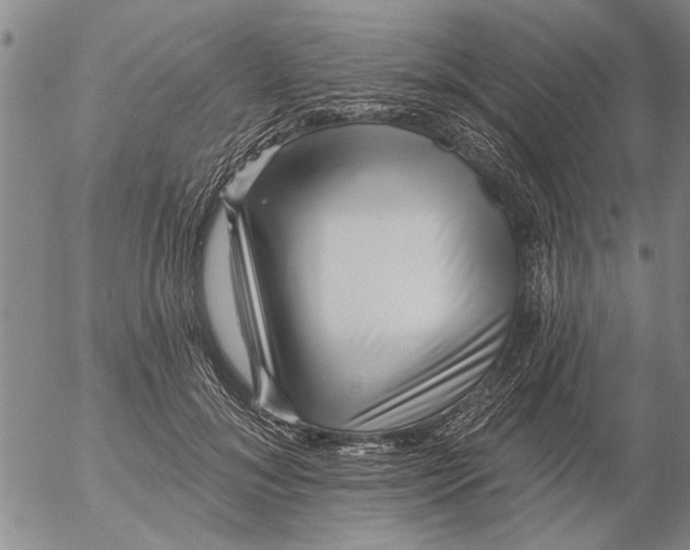 X0000053100700200508012059