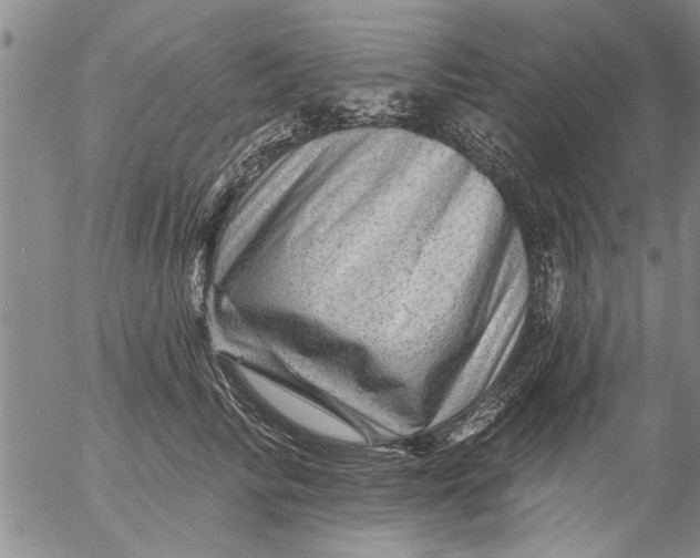 X0000053100710200508012059