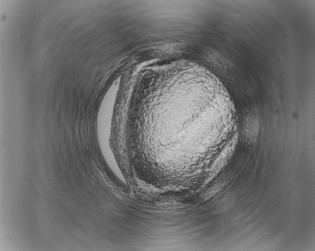 X0000053100715200508012058