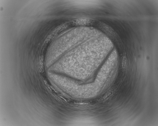 X0000053100737200508012058