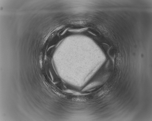 X0000053100739200508012058
