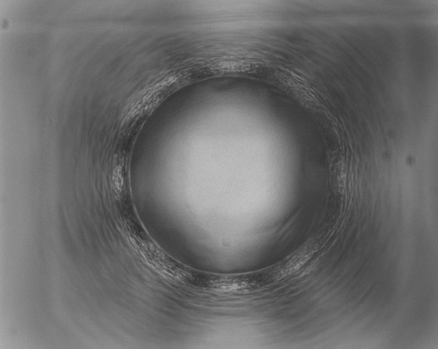 X0000053100746200508012058
