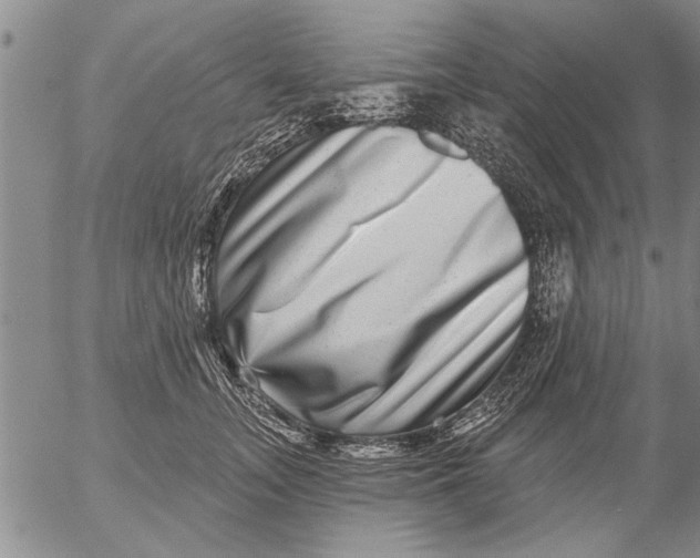 X0000053100755200508012058