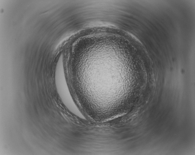X0000053100775200508012057