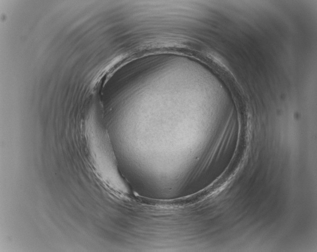 X0000053100777200508012057
