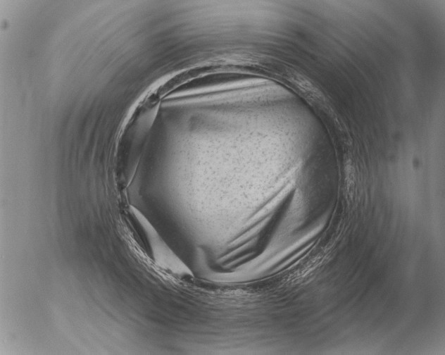 X0000053100784200508012057