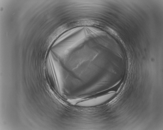 X0000053100802200508012057