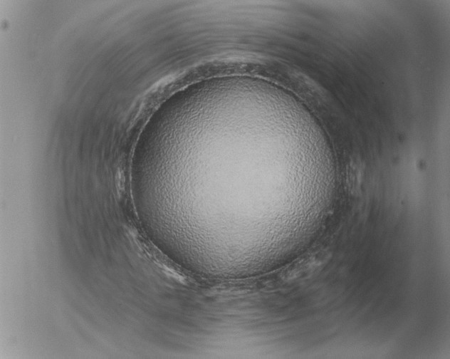 X0000053100821200508012056