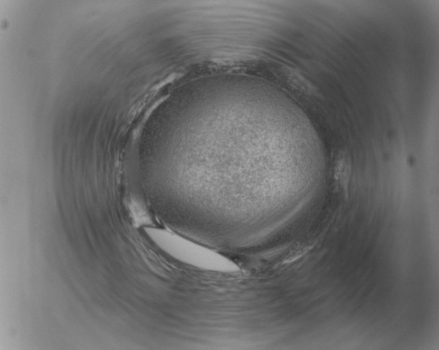 X0000053100868200508012056
