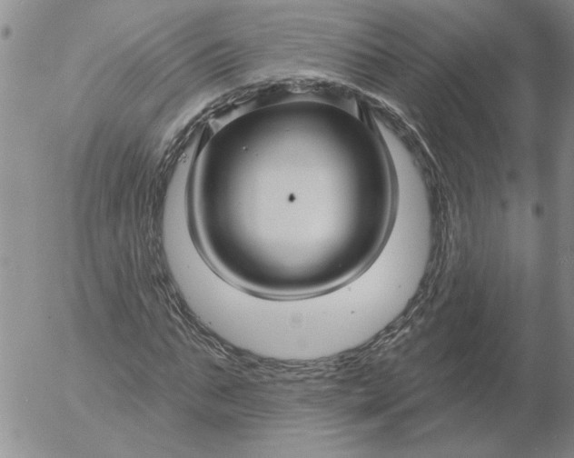 X0000053100871200508012056