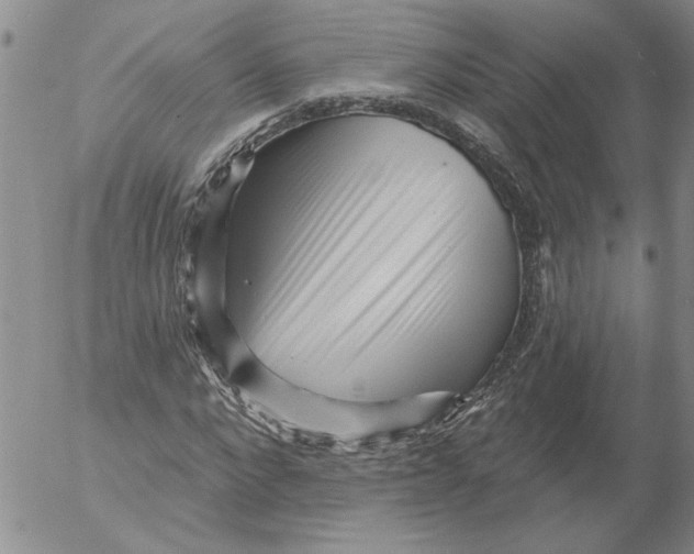 X0000053100872200508012056