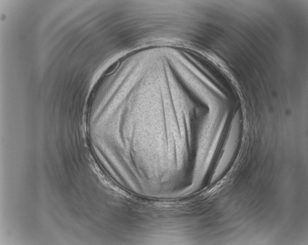 X0000053100904200508012055