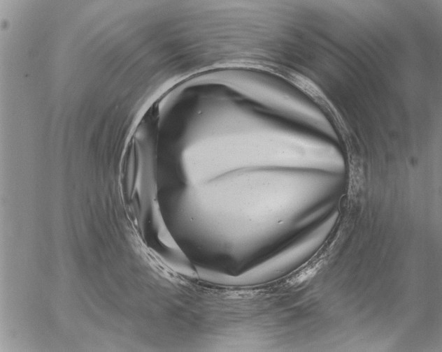 X0000053100908200508012055