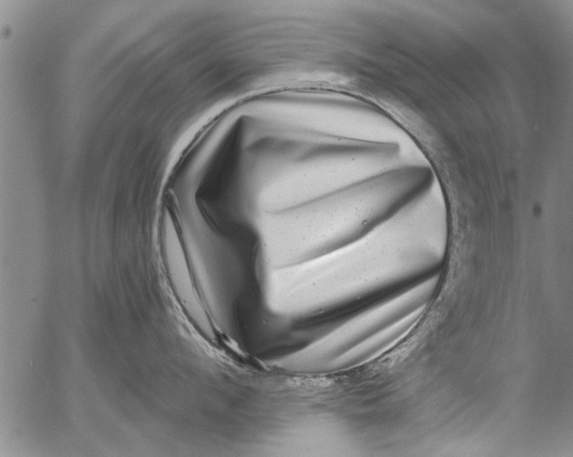 X0000053100912200508012055