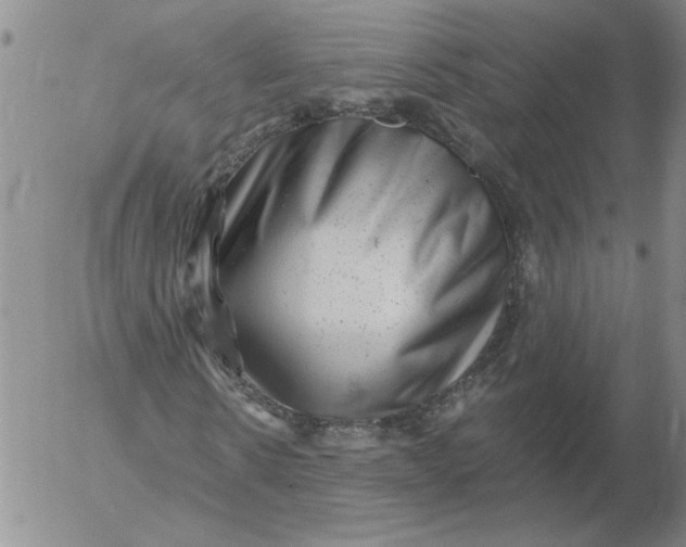 X0000053100914200508012054