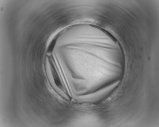 X0000053100960200508012055