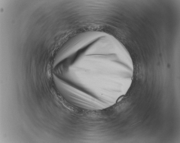 X0000053100962200508012054
