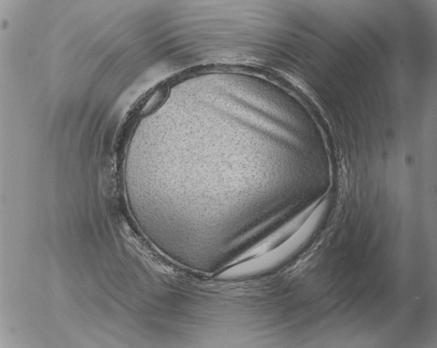 X0000053100971200508012054