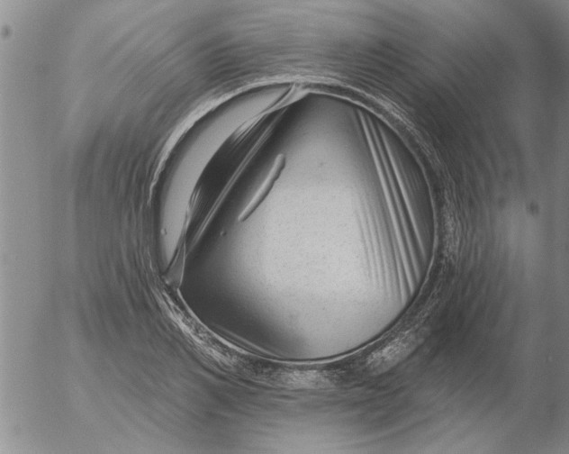 X0000053100982200508012054