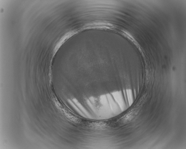 X0000053100994200508012054