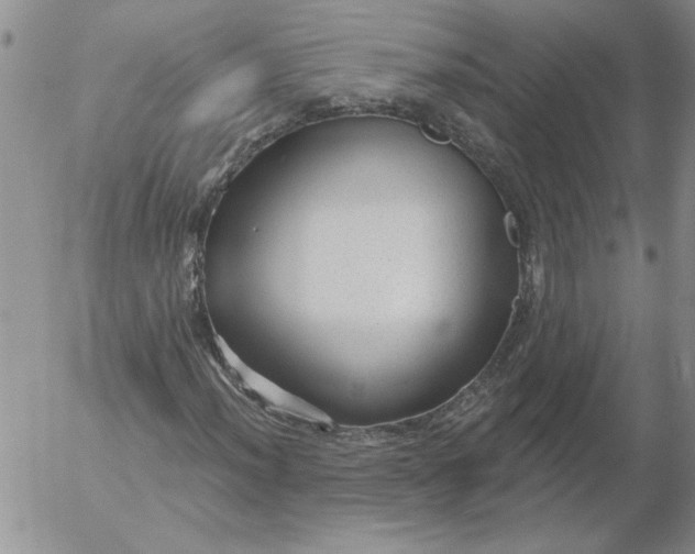 X0000053101012200508012053