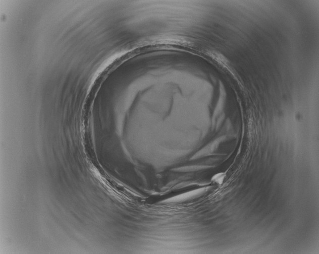 X0000053101024200508012053