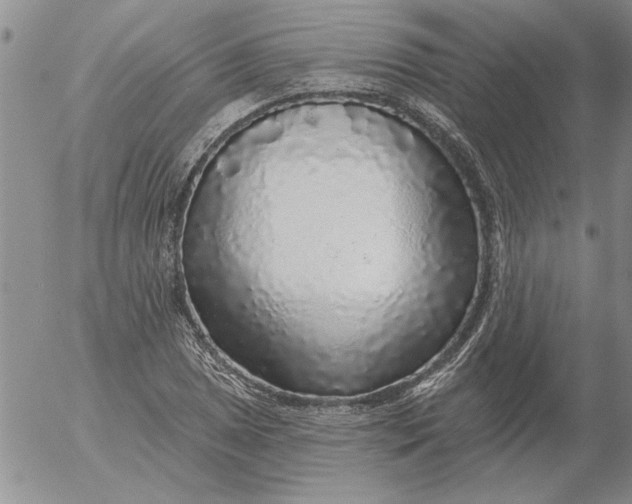 X0000053101025200508012053