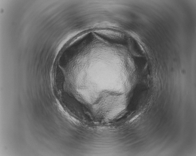 X0000053101032200508012053
