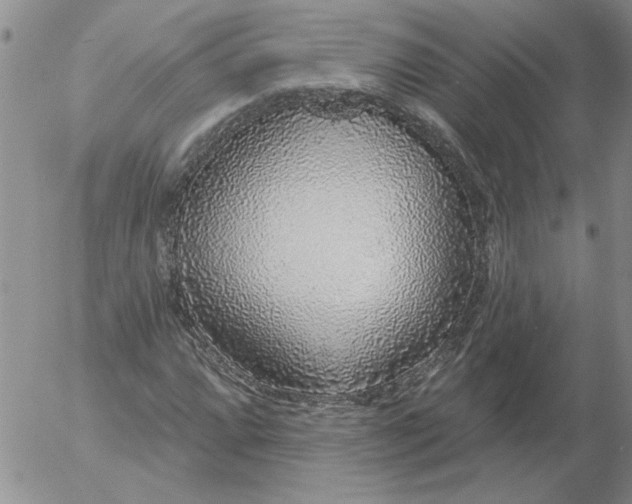 X0000053101064200508012053
