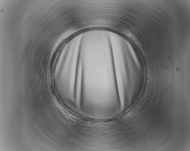 X0000053101072200508012052