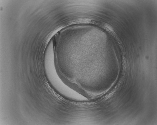 X0000053101081200508012052