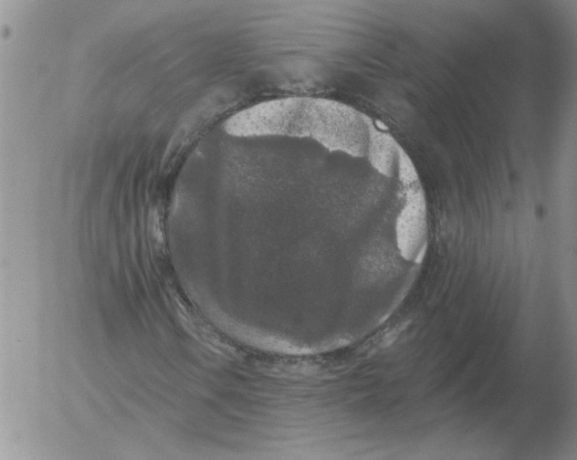 X0000053101106200508012051